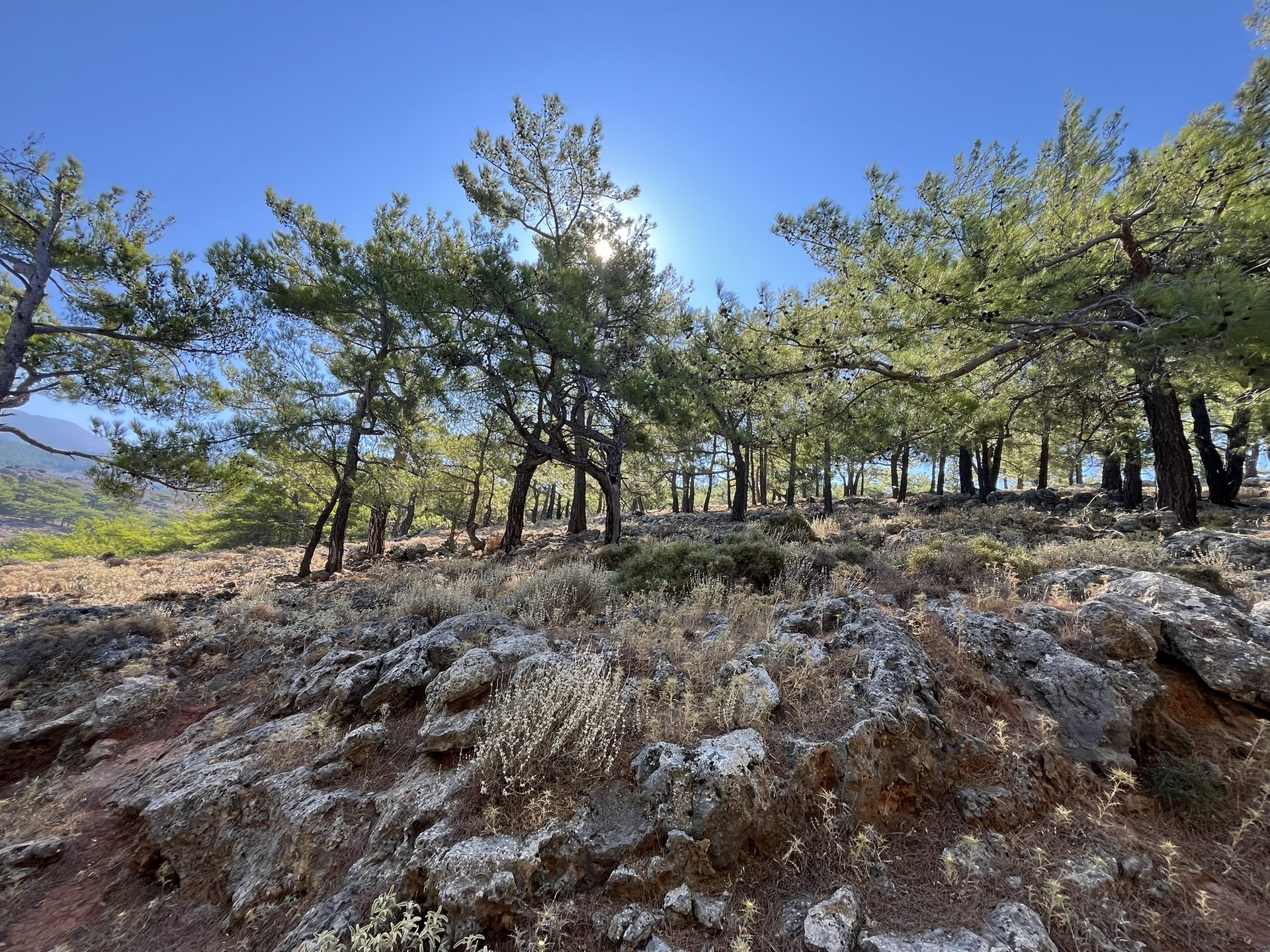 Ochros summit