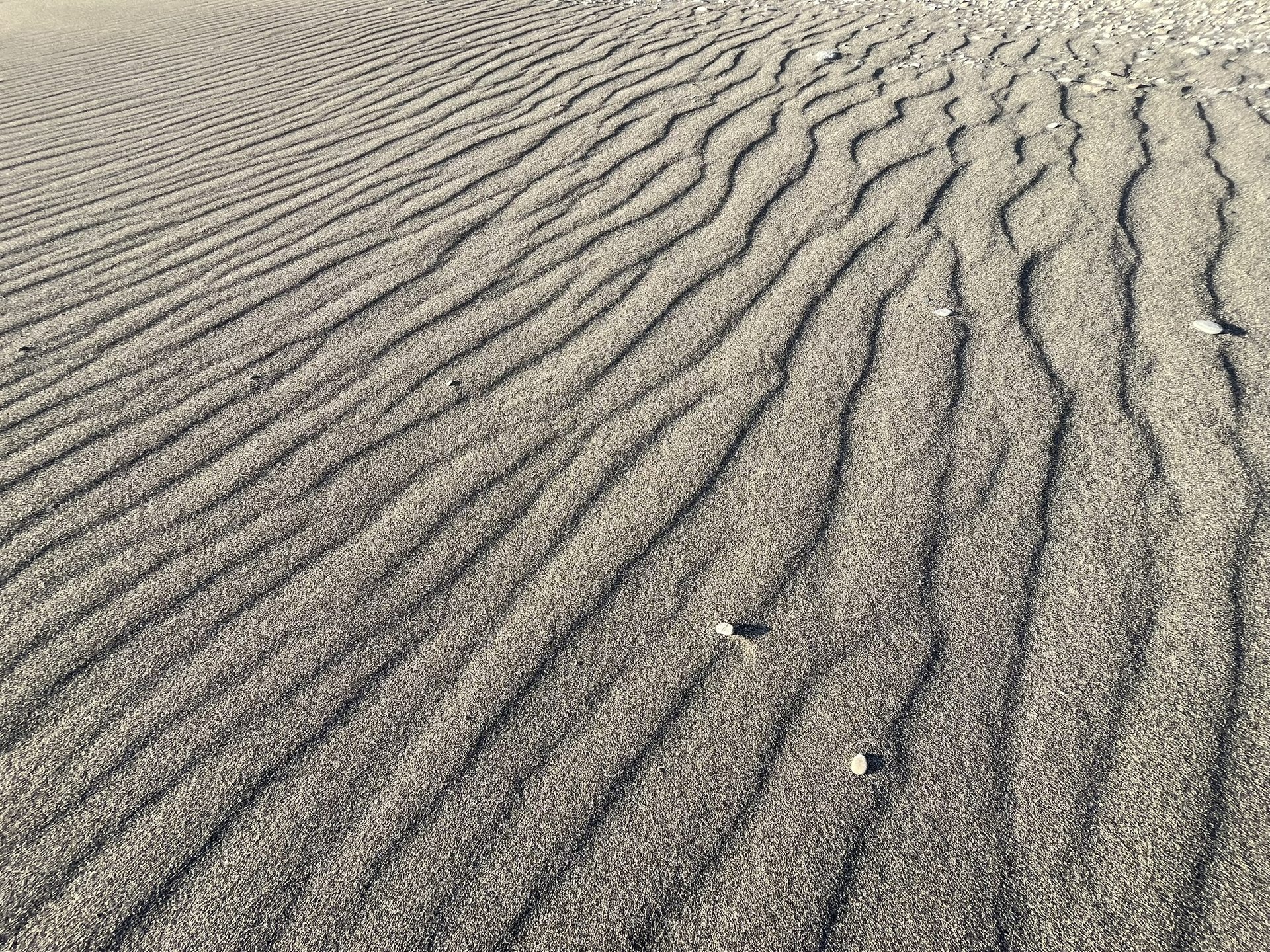 Wind ripples in the sand, like a small desert