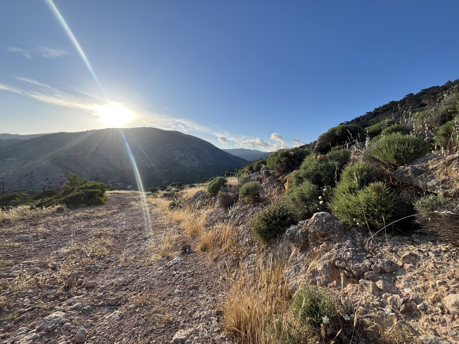 Sun over a mountain path