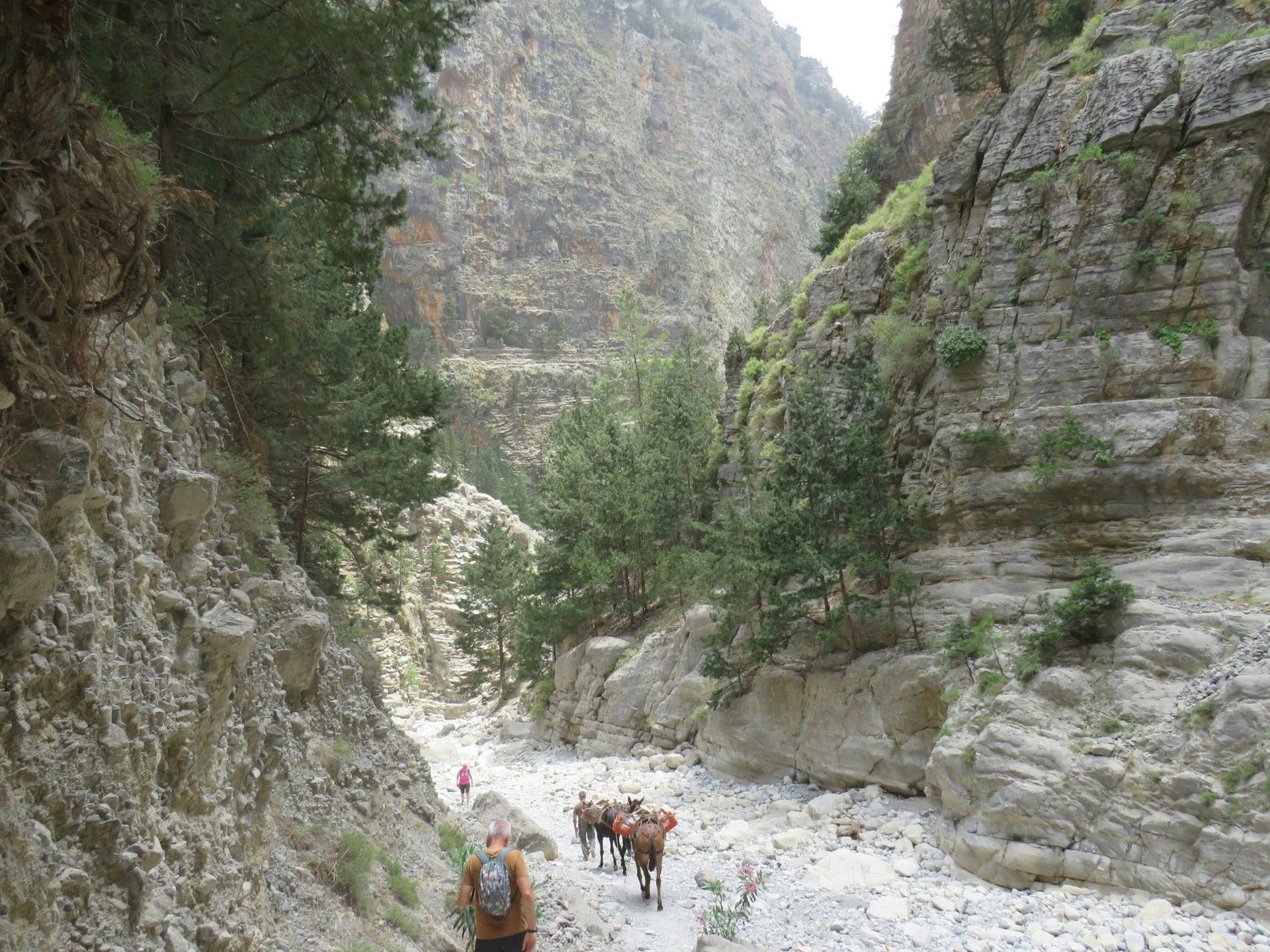 Can you walk the Samaria gorge from Sougia? Two ways