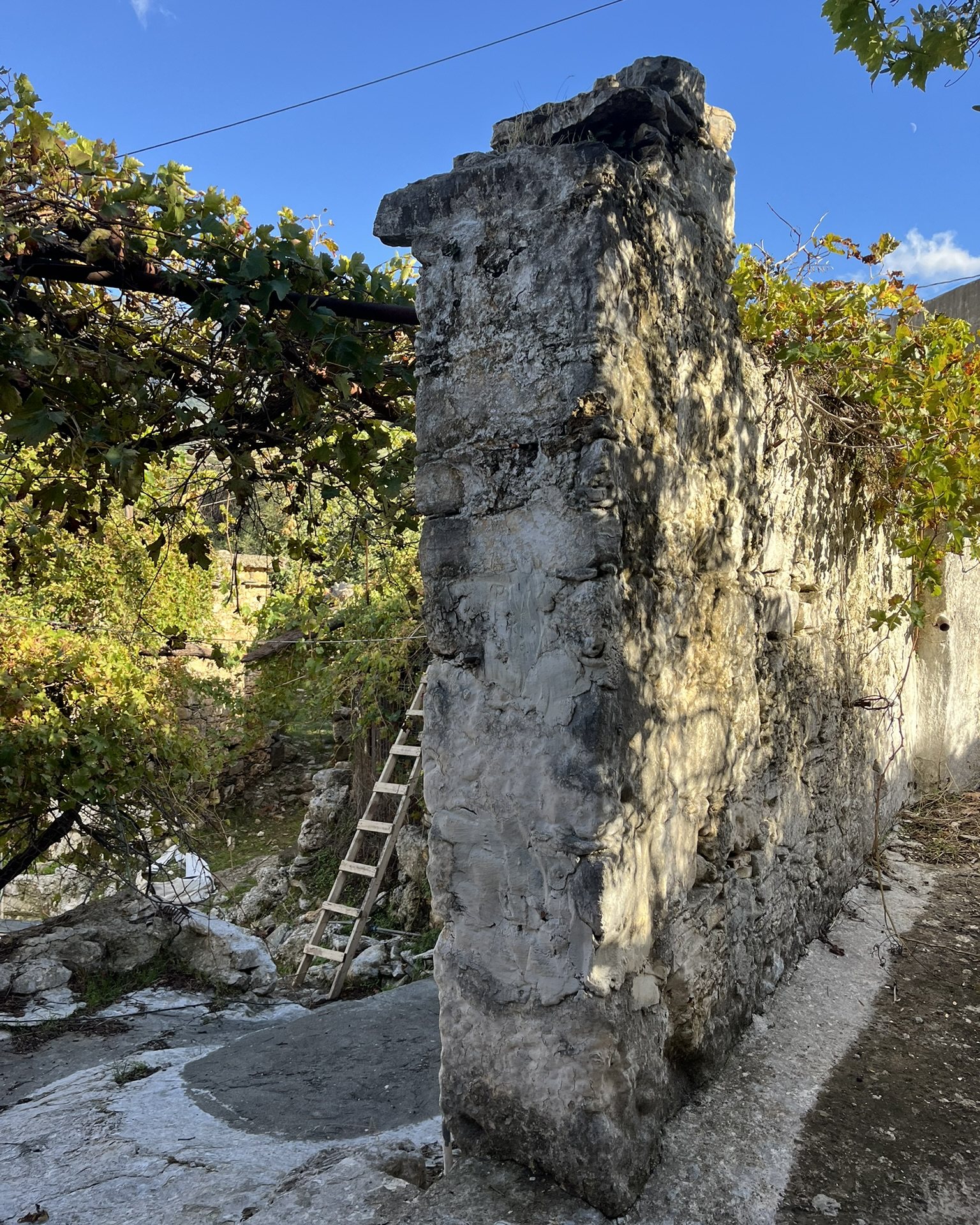 The end of an old stone wall in Moni, a vine and a wooden ladder behind it