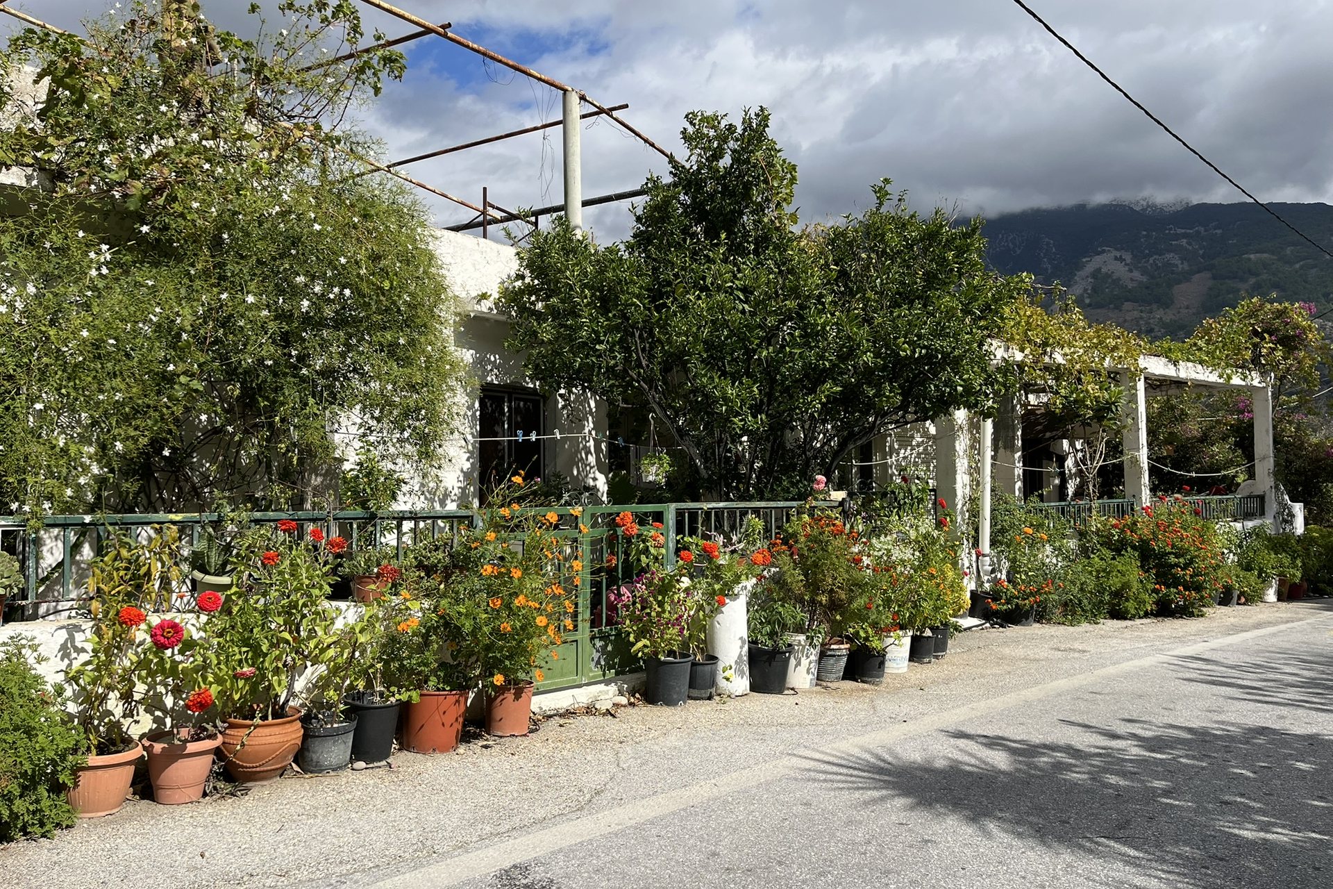 A lived-in house in Moni with pots of red flowers along the road and a vine-covered terrace