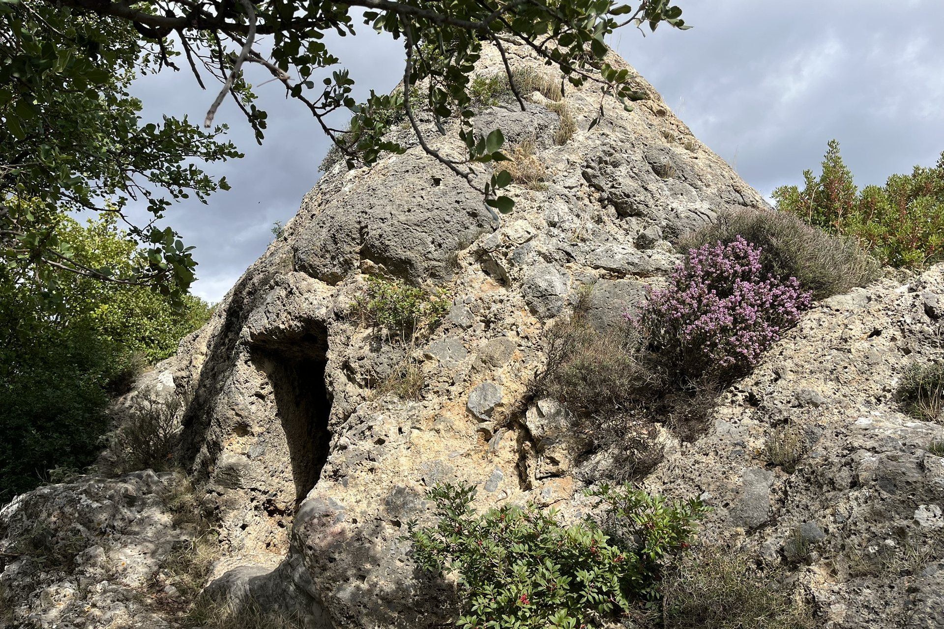 The low doorway cut into the pyramid, with pink heather flowering on the stone