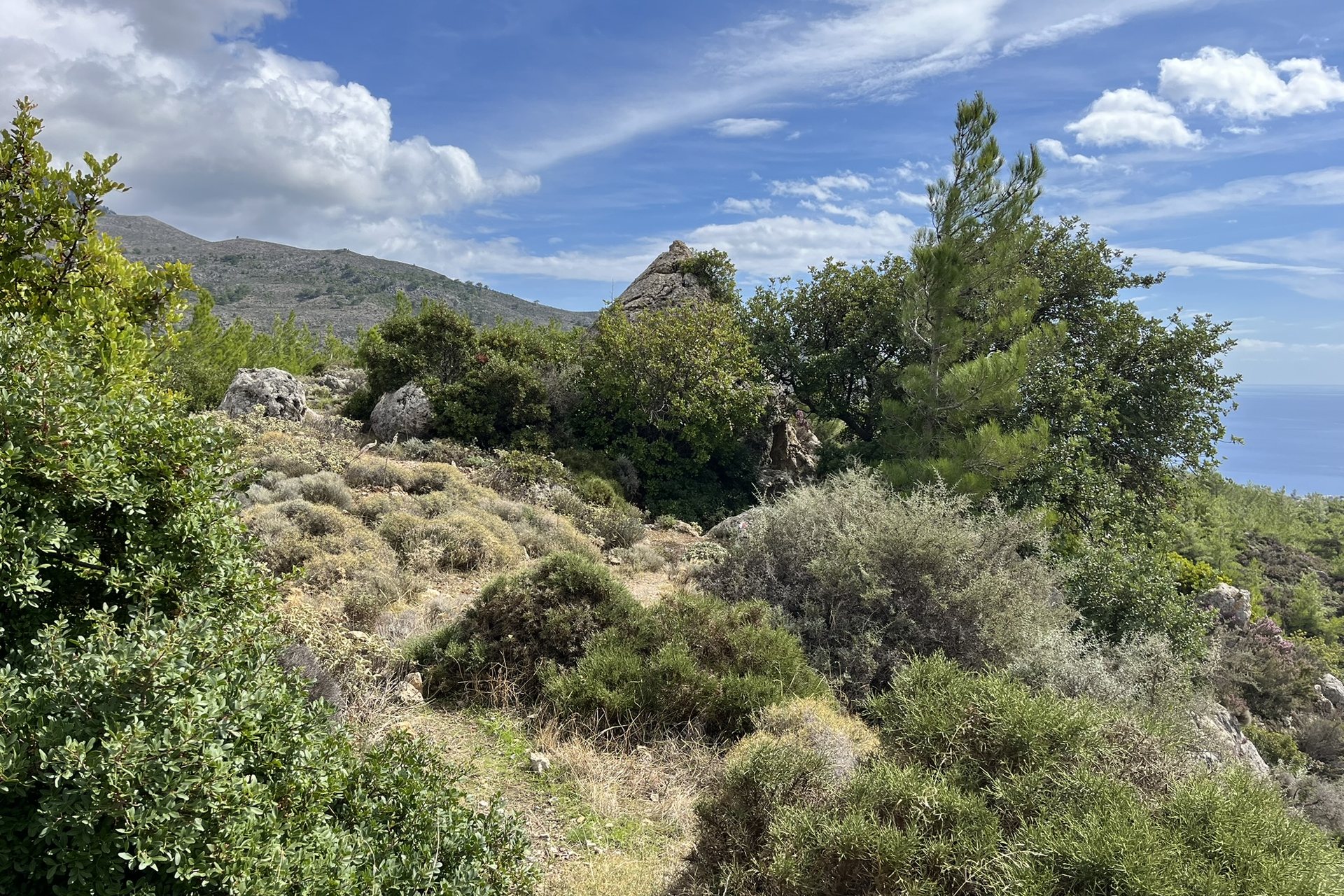 The top of the pyramid among pines and scrub, with the Libyan Sea on the horizon