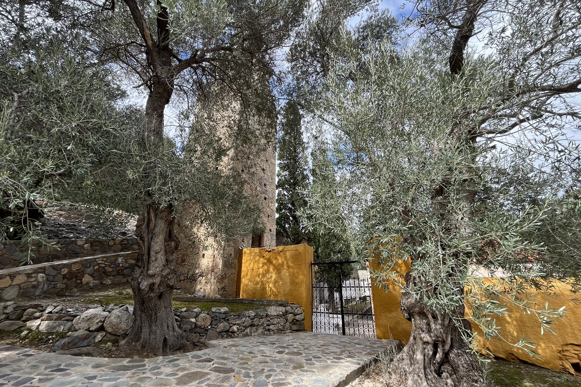 Old olive trees in front of the stone bell tower of Panagia Kera in Moni