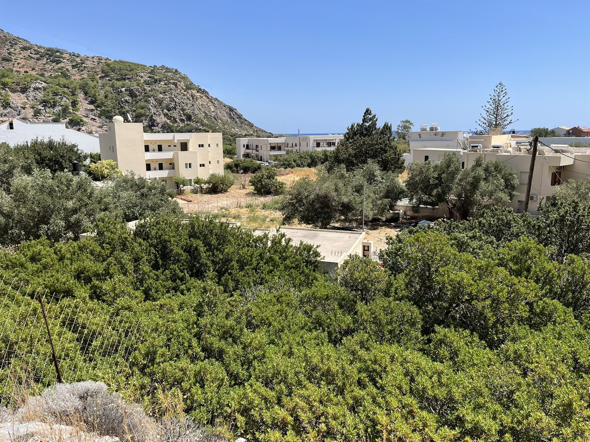 The plot at the edge of Sougia, August 2025