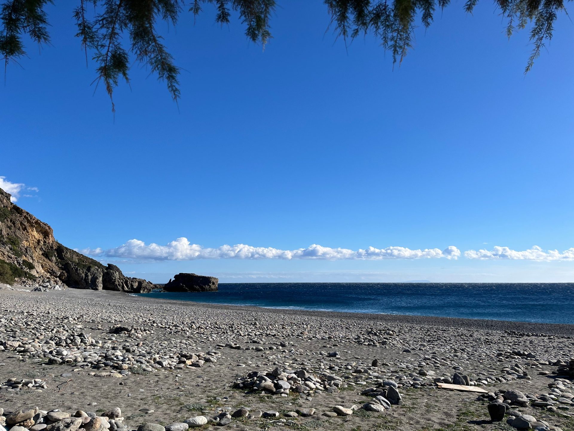 Sunny pebble beach under tamarisk branches