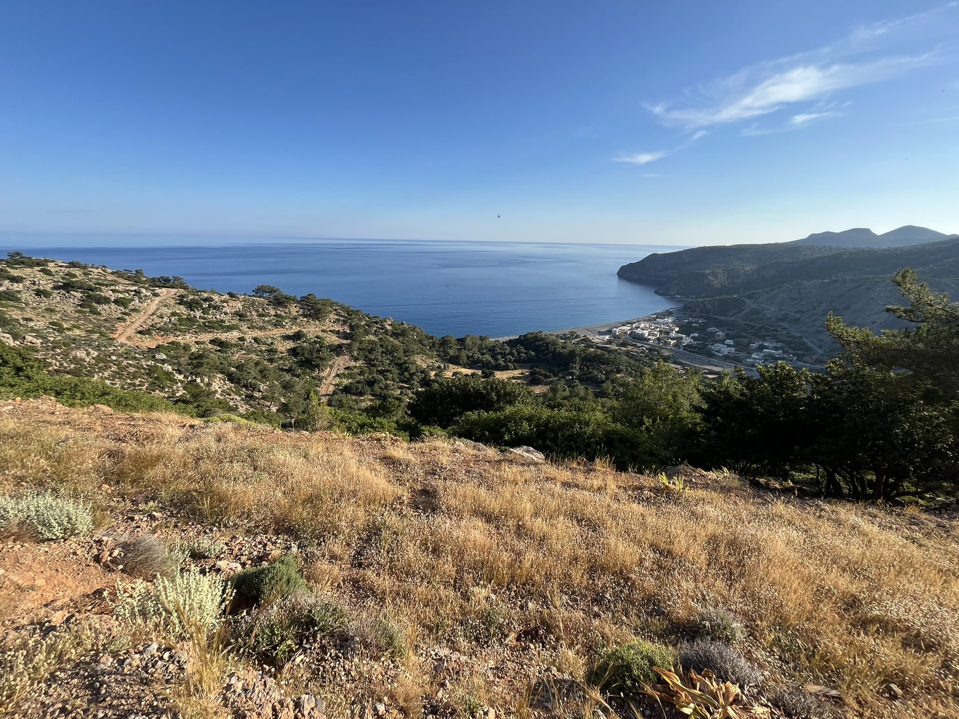 Dry golden grass above the bay in summer