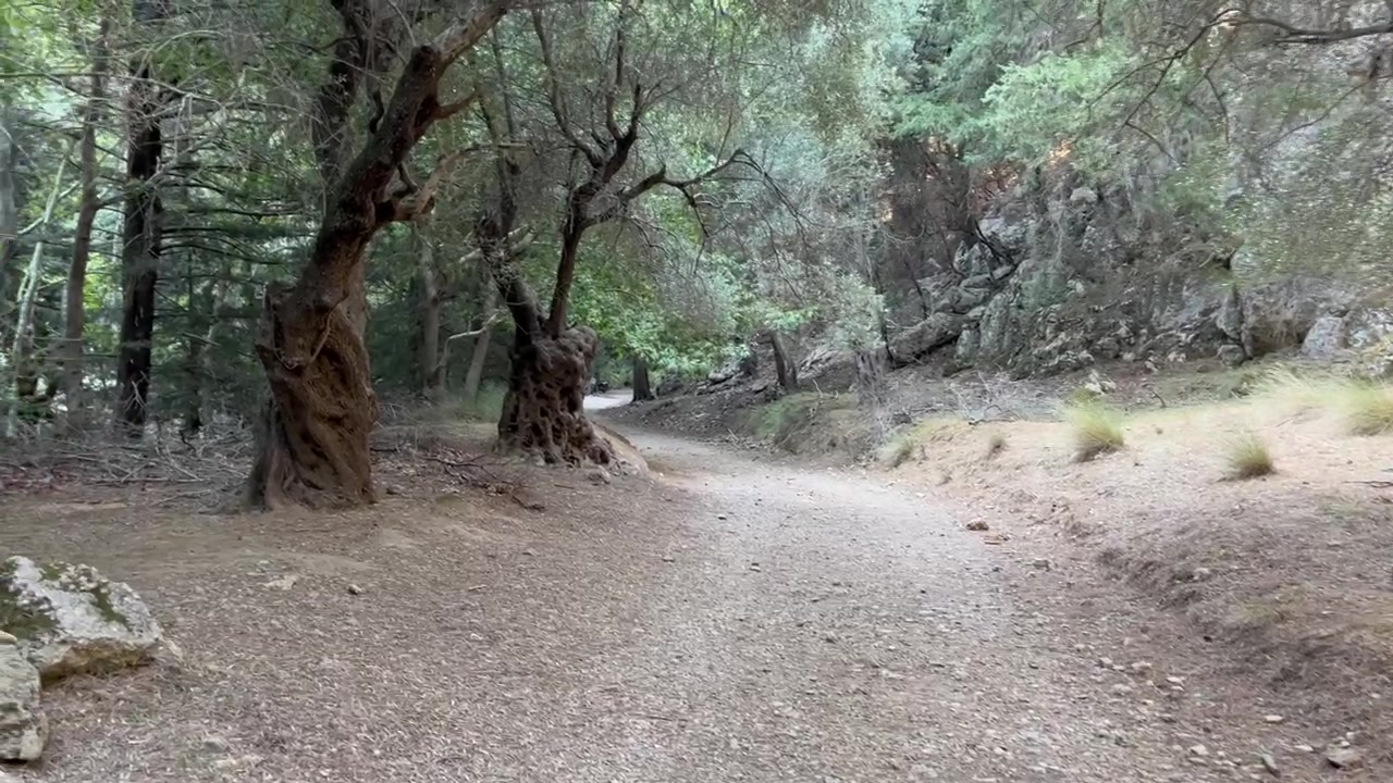 autumn walks