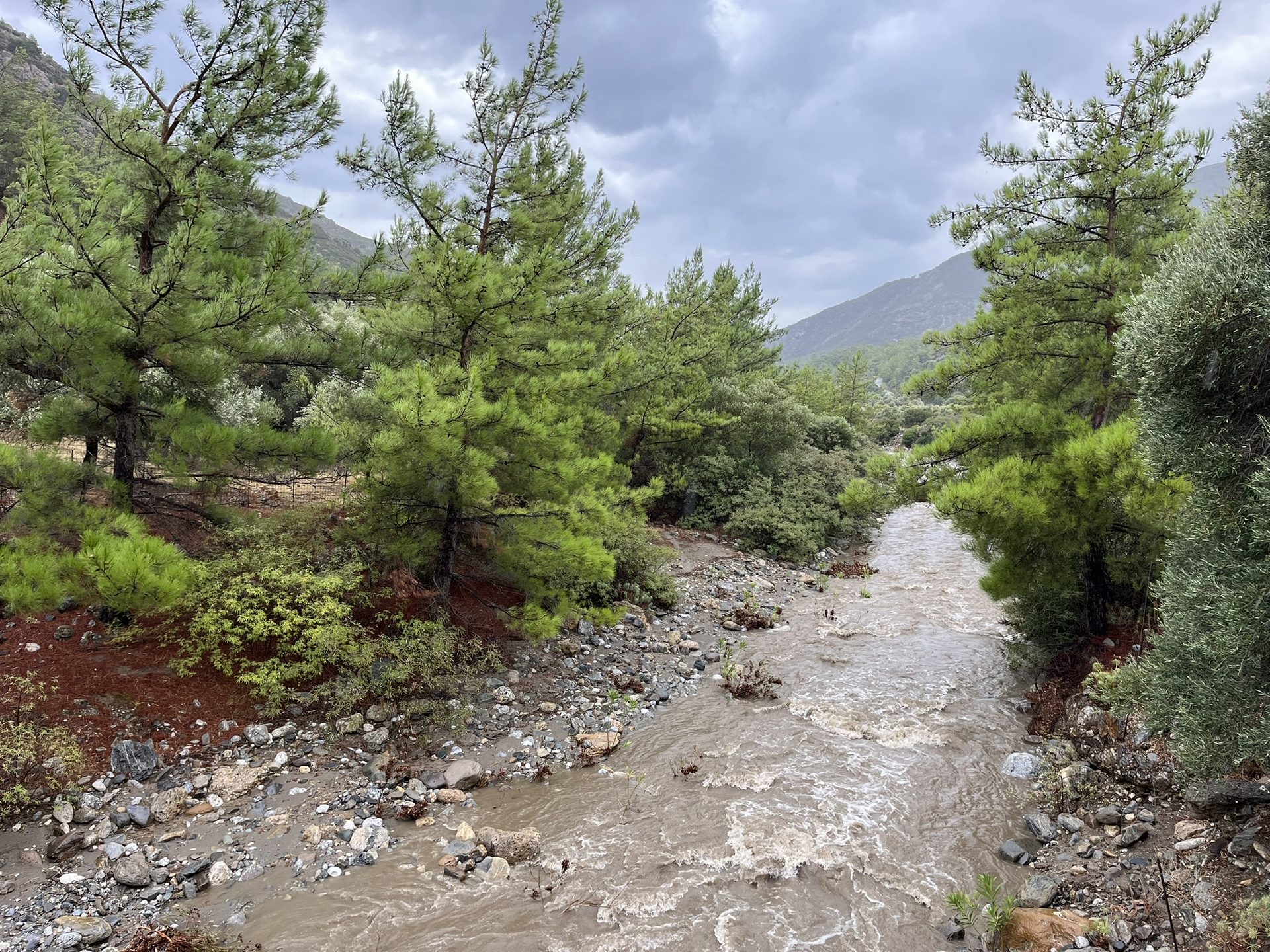 The stream running after the October rain