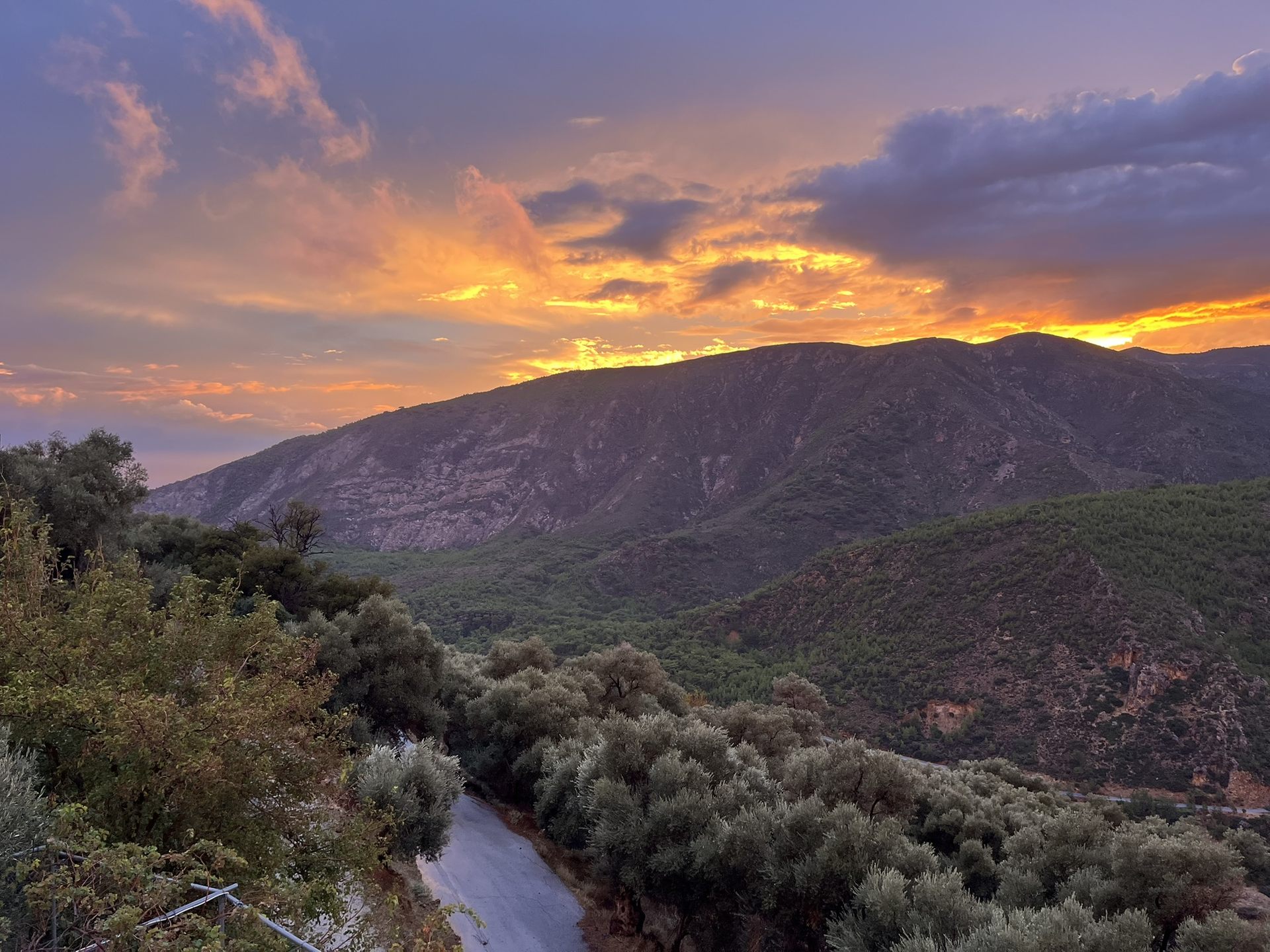 Sunset over the mountains and olive groves above Sougia