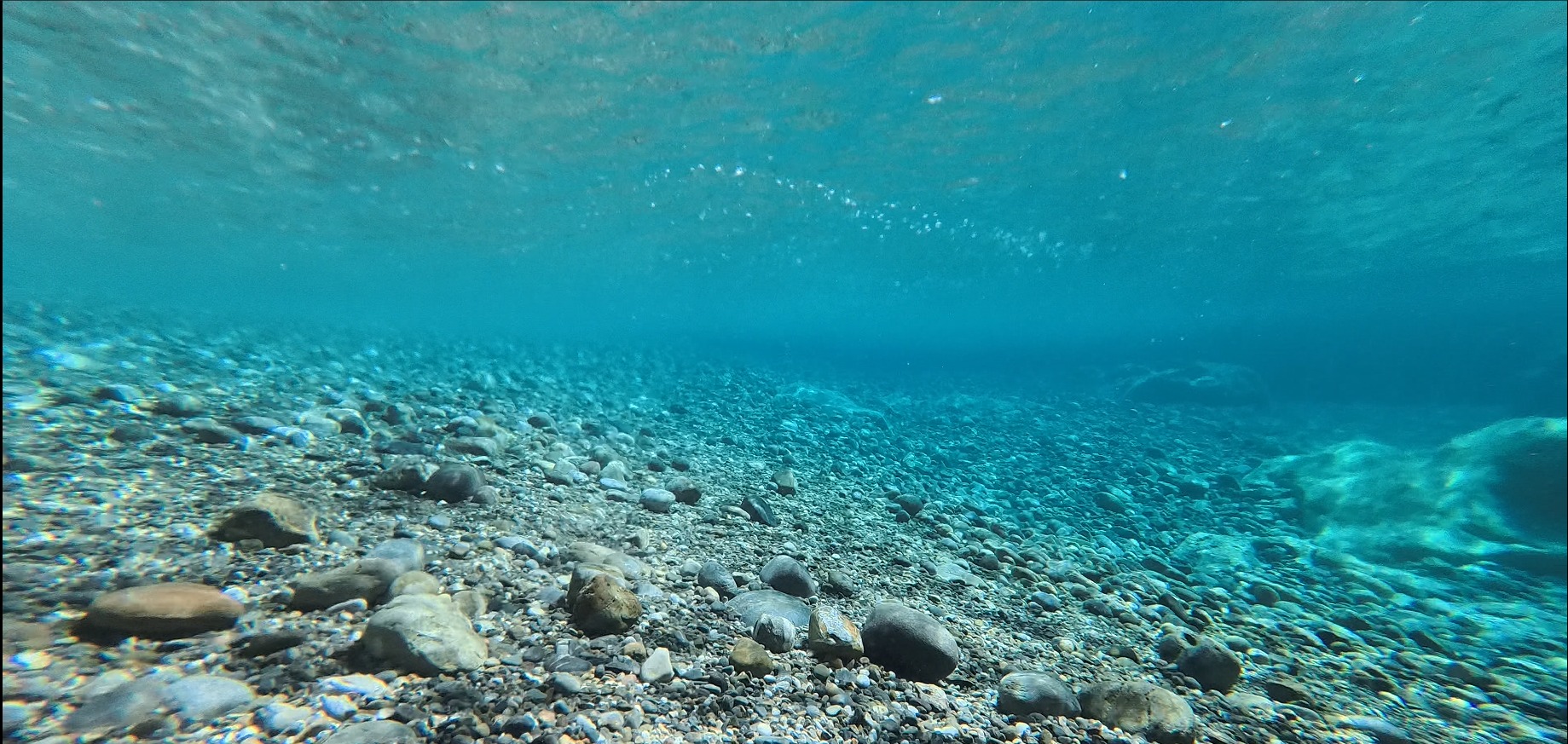 snorkelling